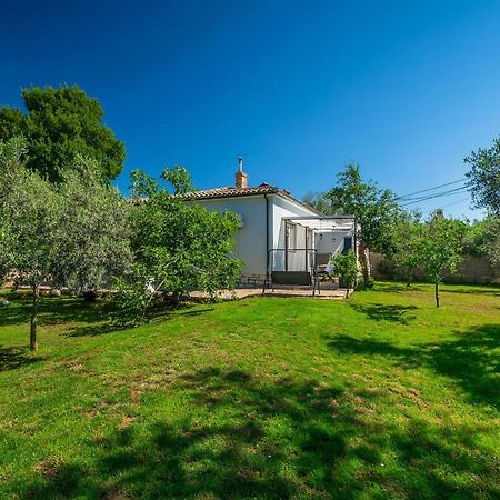 Holiday House Chill Out Loborika Marcana Exterior photo
